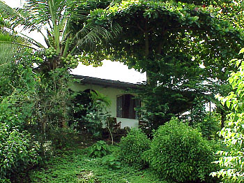 Casa Bumerango Garden